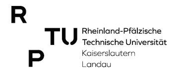 Rheinland-Pfälzische Technische Universität KL/LD