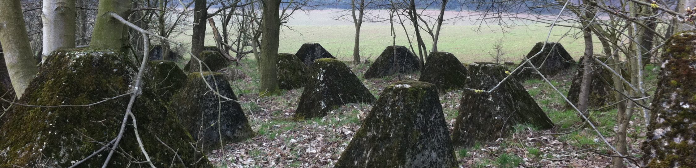 Westwall Höckerlinie Winterbach